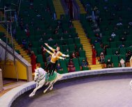 The State Circus of Turkmenistan hosted a performance in honor of the national holiday of the Turkmen horse