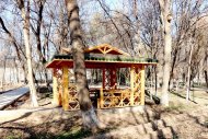 Photoreport: Ashgabat Botanical Garden in February-2021