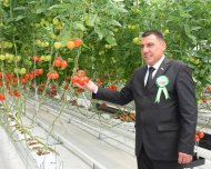 Photoreport: New greenhouse opened in Mary velayat 