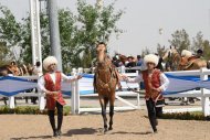 The second round of the international beauty contest of Akhal-Teke horses took place in Ashgabat