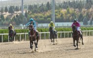 Festive races were held in Turkmenistan