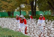 Harvest Festival celebrated in Turkmenistan