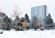 Photoreport: Ashgabat was covered with white snow