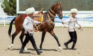 В Ашхабаде состоялся второй тур международного конкурса красоты ахалтекинских скакунов