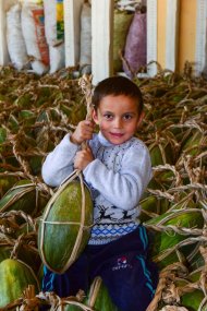 Turkmen photographers take part in the photo contest 