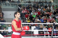 Photo report: Turkmenistan Boxing Cup 2019