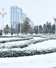 Photoreport: Ashgabat was covered with white snow