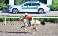 Фоторепортаж: В Туркменистане с размахом отметили Национальный праздник туркменского скакуна