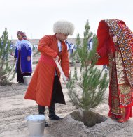 Фоторепортаж: Президент Туркменистана посадил 30 саженцев деревьев, дав старт осенней озеленительной кампании