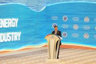 Photo report:  Conference «Caspian Sea: Benefits of developing of the international economic cooperation»