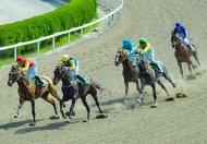 Solemn events in honor of the National holiday of the Turkmen horse were held in Ashgabat