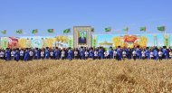 Photo: Harvest season started in Ahal Region