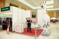 Photo report: International Exhibition-Fair «A Turkmen Horse and World Art of Horse Breeding»