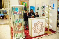 Photo report: International Exhibition-Fair «A Turkmen Horse and World Art of Horse Breeding»