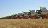 Photo: Harvest season started in Ahal Region