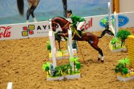 Photo report: International Exhibition-Fair «A Turkmen Horse and World Art of Horse Breeding»