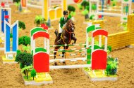 Photo report: International Exhibition-Fair «A Turkmen Horse and World Art of Horse Breeding»