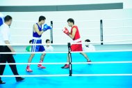 Photo report: Turkmenistan Boxing Championship 2019