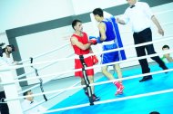 Photo report: Turkmenistan Boxing Championship 2019