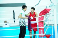 Photo report: Turkmenistan Boxing Championship 2019