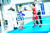 Photo report: Turkmenistan Boxing Championship 2019