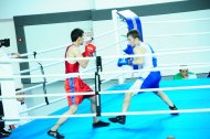 Photo report: Turkmenistan Boxing Championship 2019