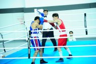 Photo report: Turkmenistan Boxing Championship 2019