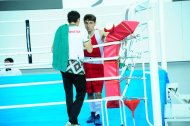 Photo report: Turkmenistan Boxing Championship 2019