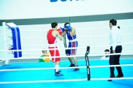 Photo report: Turkmenistan Boxing Championship 2019