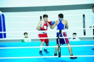 Photo report: Turkmenistan Boxing Championship 2019