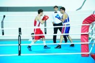 Photo report: Turkmenistan Boxing Championship 2019