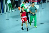 Photo report: Turkmenistan Boxing Championship 2019