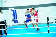 Photo report: Turkmenistan Boxing Championship 2019