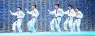 Photo report: Taekwondo show at the Korean Week in Ashgabat