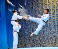 Photo report: Taekwondo show at the Korean Week in Ashgabat