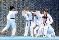 Photo report: Taekwondo show at the Korean Week in Ashgabat