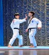 Photo report: Taekwondo show at the Korean Week in Ashgabat