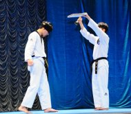 Photo report: Taekwondo show at the Korean Week in Ashgabat