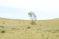 Photo report: Start of construction of a village near the Golden Age Lake 