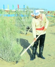 Photo report: Start of construction of a village near the Golden Age Lake 