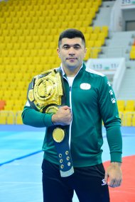 Photo report: Dovletjan Yagshimuradov took part in a meeting with the head of FIAS in the Ashgabat Olympic Village