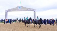 Photo report: Turkmenistan hosted an equestrian marathon in honor of the horse race