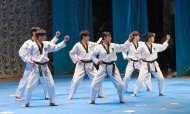 Photo report: Taekwondo show at the Korean Week in Ashgabat