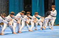 Photo report: Taekwondo show at the Korean Week in Ashgabat