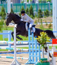 Türkmen bedewiniň baýramy mynasybetli marafon we konkur bäsleşikleri (FOTO)