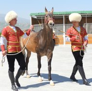 Aşgabatda türkmen bedewiniň baýramynyň hormatyna halkara sergi-ýarmarka guraldy (FOTO)