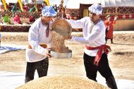 Photo report: Harvest season started in Lebap velayat