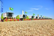 Photo report: Harvest season started in Lebap velayat