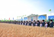 Photo report: Harvest season started in Lebap velayat