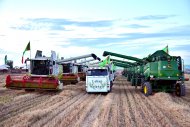 Photo report: Harvest season started in Lebap velayat